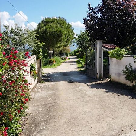 فيلا La Staccionata Arpino المظهر الخارجي الصورة